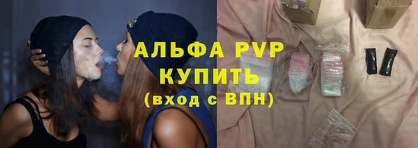 дживик Надым