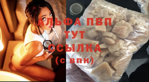 гидра Белокуриха