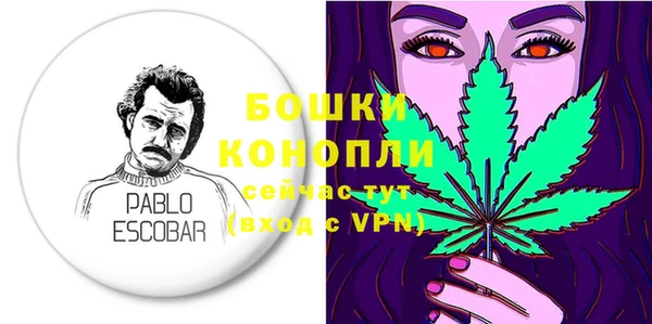 шишки Наволоки