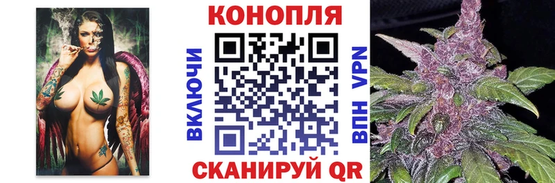 Бошки Шишки семена  купить наркоту  Североуральск 